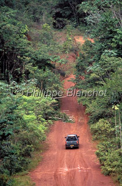 guyane 17.JPG - Piste latéritique à travers la forêt ombrophileGuyane française